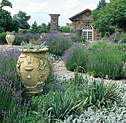 Hestercombe, Thomas Hardy country, England